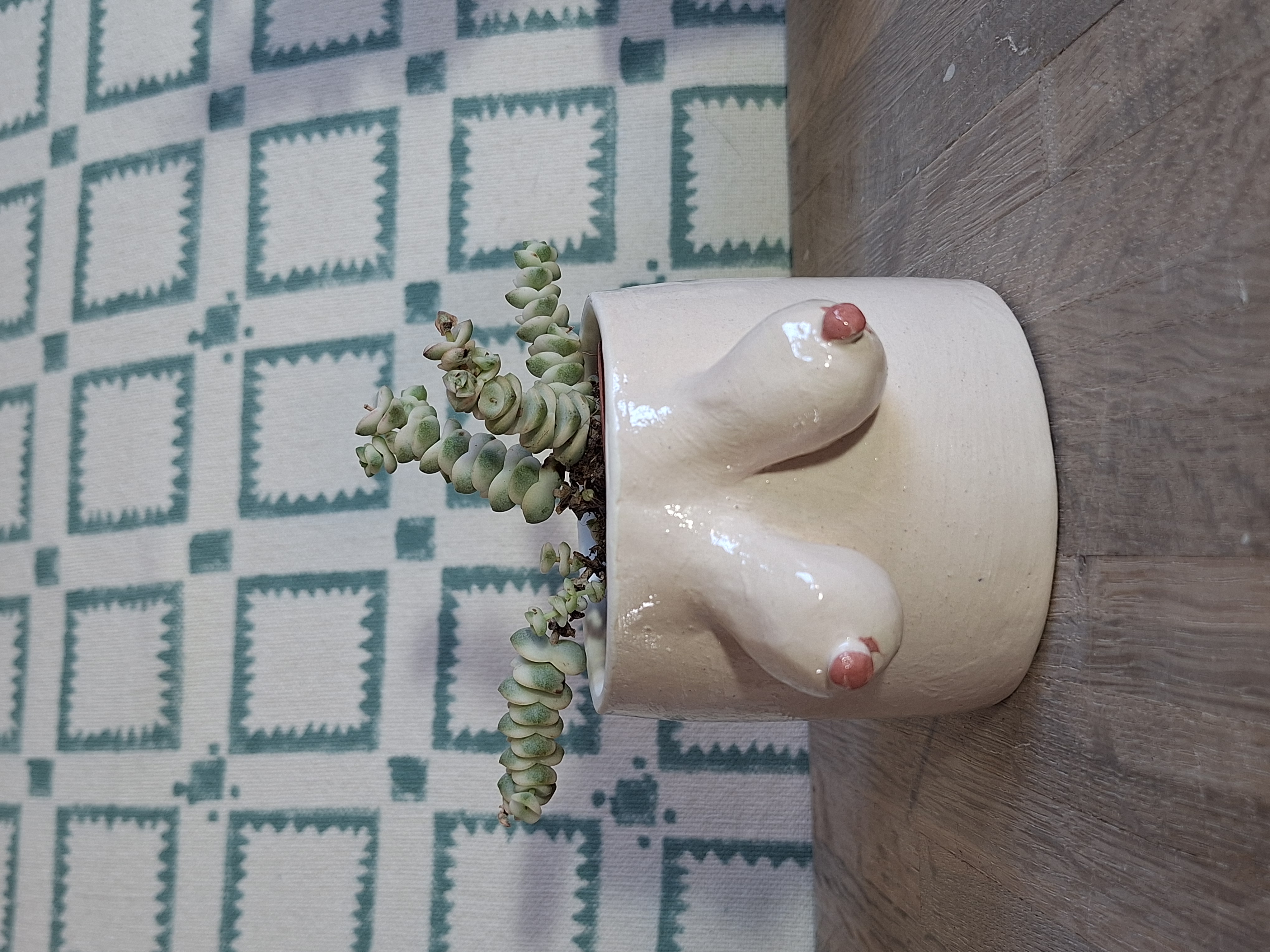 small boob pot