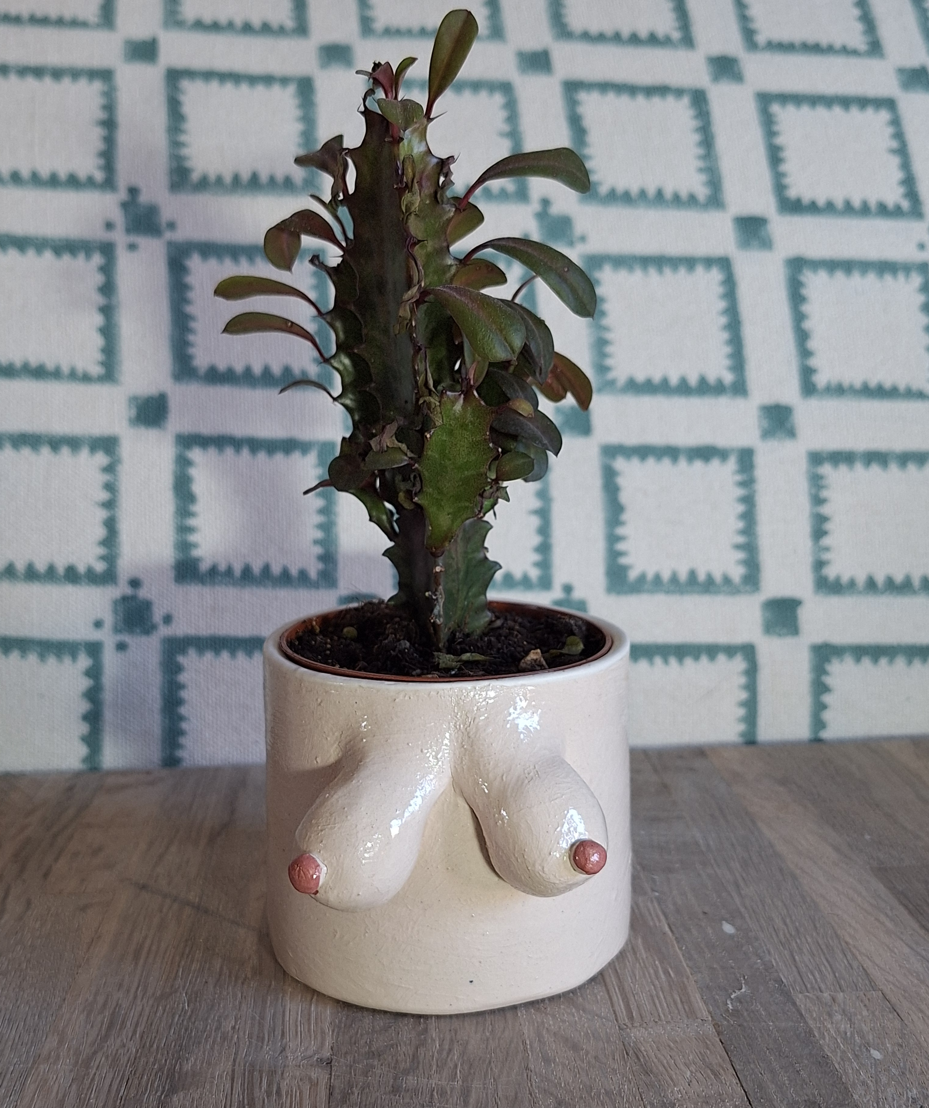 small pot