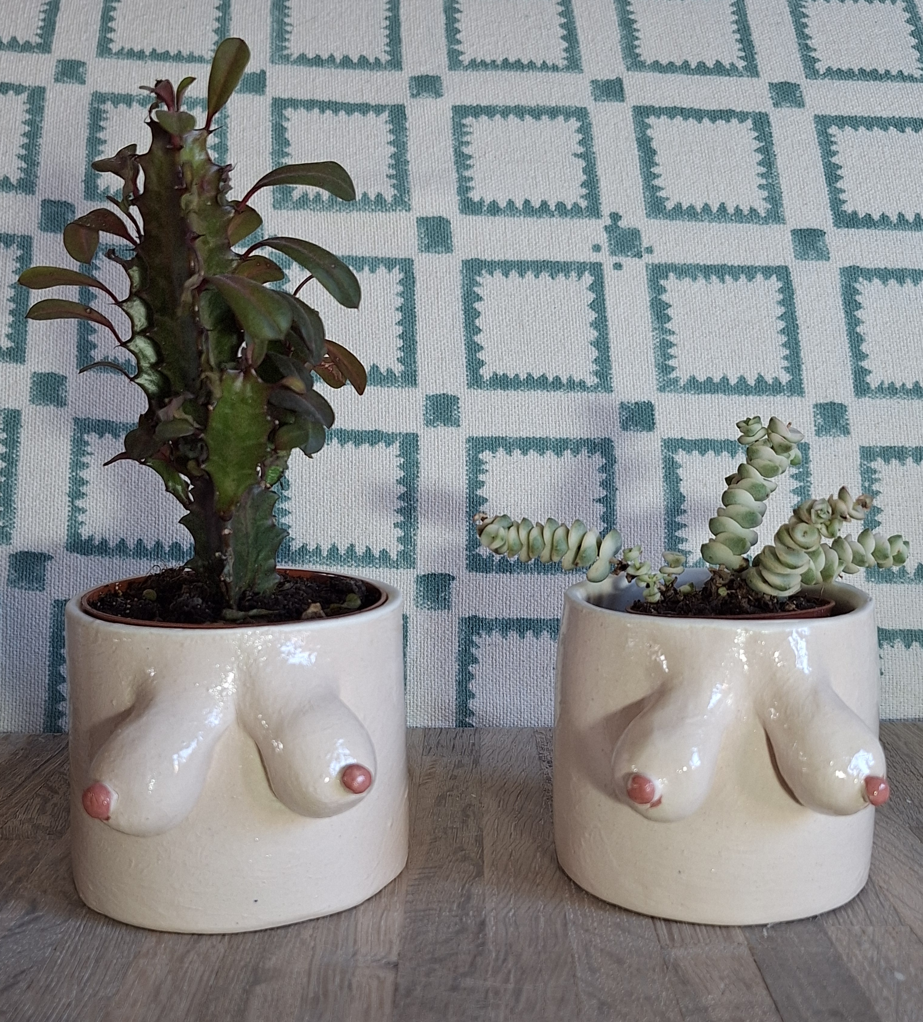boob pot