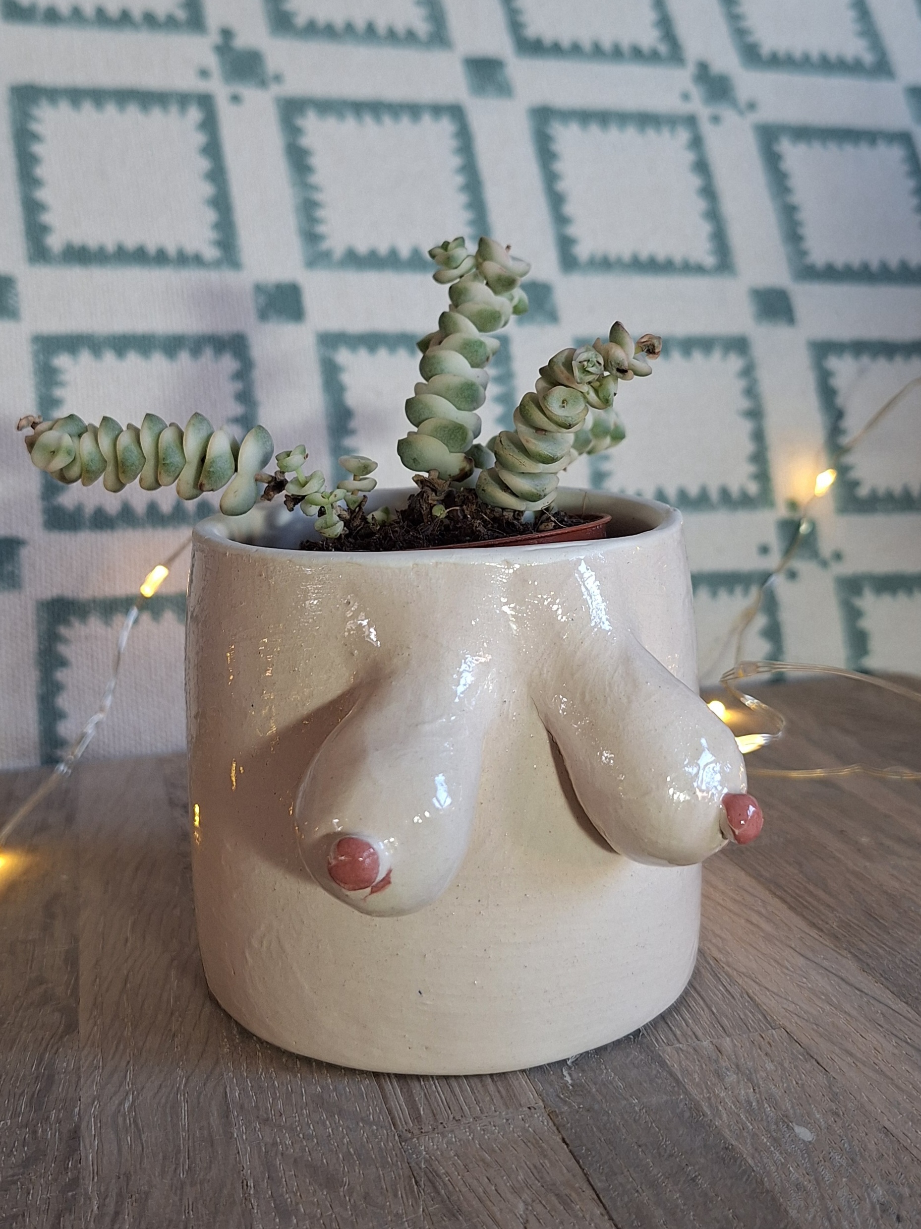 boob plant pot Boob planter pot  My Terracotta Home