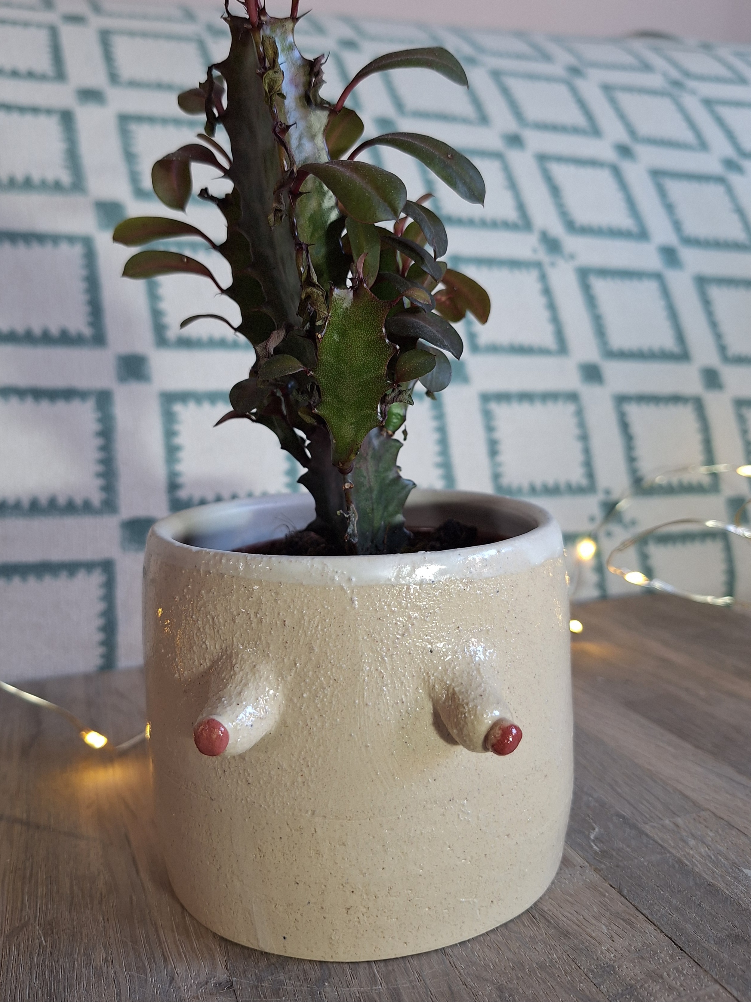 small pot
