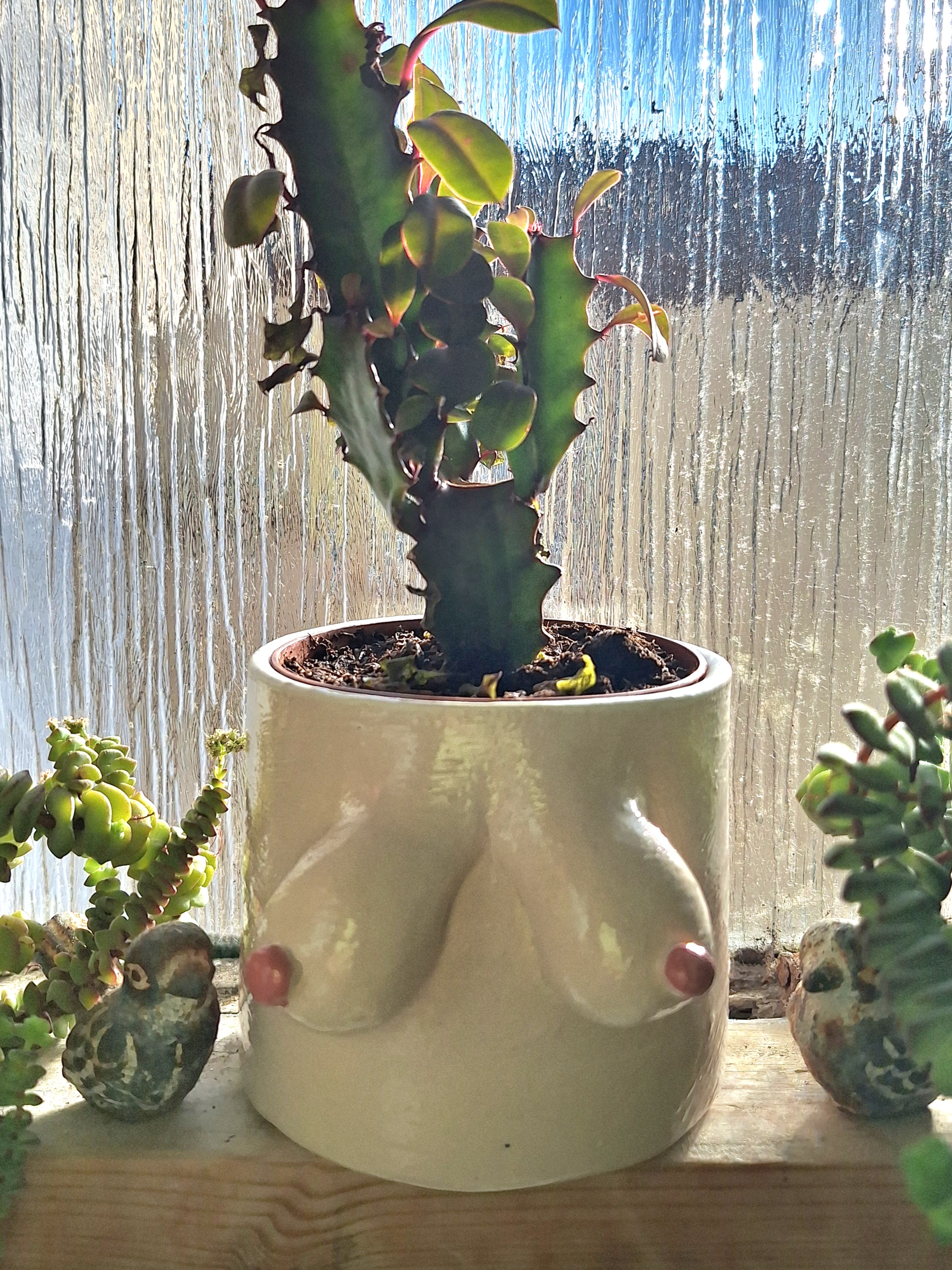 boob pot